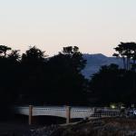 Cambria_CN_0074 (November 07, 2015)